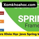 Khóa học Java Spring MVC
