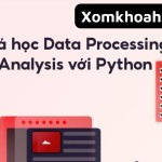 Khóa học Data Processing & Analysis với Python mới nhất