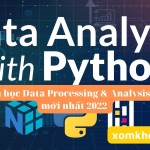 Khóa học Data Processing & Analysis với Python mới nhất