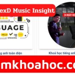 Combo 2 Khóa Học Tiếng Anh Toàn Diện AlexD Music Insight