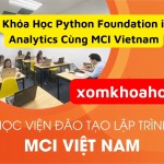 Khóa Học Python Foundation in Data Analytics Cùng MCI Vietnam