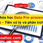 Share Khóa học Data Pre-processing and Analysis: Tiền xử lý và phân tích dữ liệu