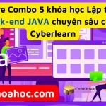Share Combo 5 khóa học Lập trình Back-end JAVA chuyên sâu cùng Cyberlearn