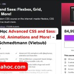 Khóa Học Advanced CSS and Sass: Flexbox, Grid, Animations and More! – Jonas Schmedtmann (Vietsub)