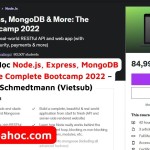 Khóa Học Node.js, Express, MongoDB & More: The Complete Bootcamp 2022 – Jonas Schmedtmann (Vietsub)