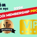 Gói Membership Pro (Vĩnh viễn)