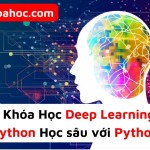 Khóa Học Deep Learning with Python Học sâu với Python