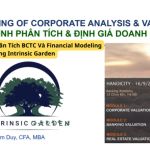 Khóa Học Phân Tích BCTC Và Financial Modeling Cùng Intrinsic Garden
